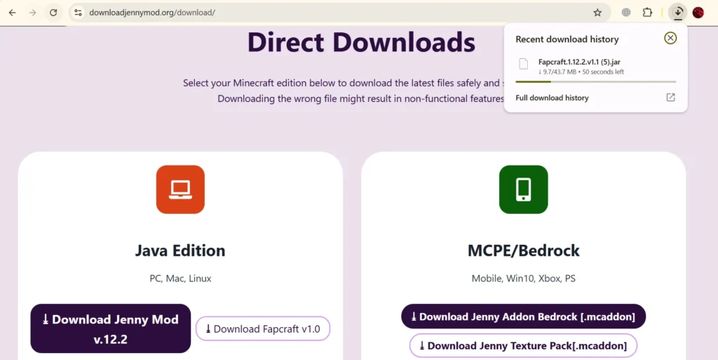 How to Install Jenny Mod on PC – Complete Step-by-Step Guide (Java Edition) 4 step5