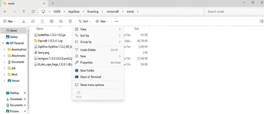 How to Install Jenny Mod on PC – Complete Step-by-Step Guide (Java Edition) 5 step6